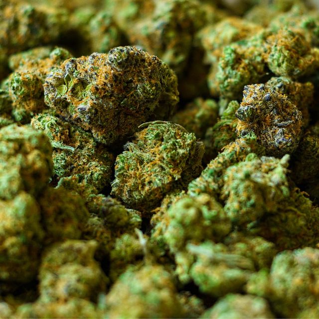 The United States of Marijuana