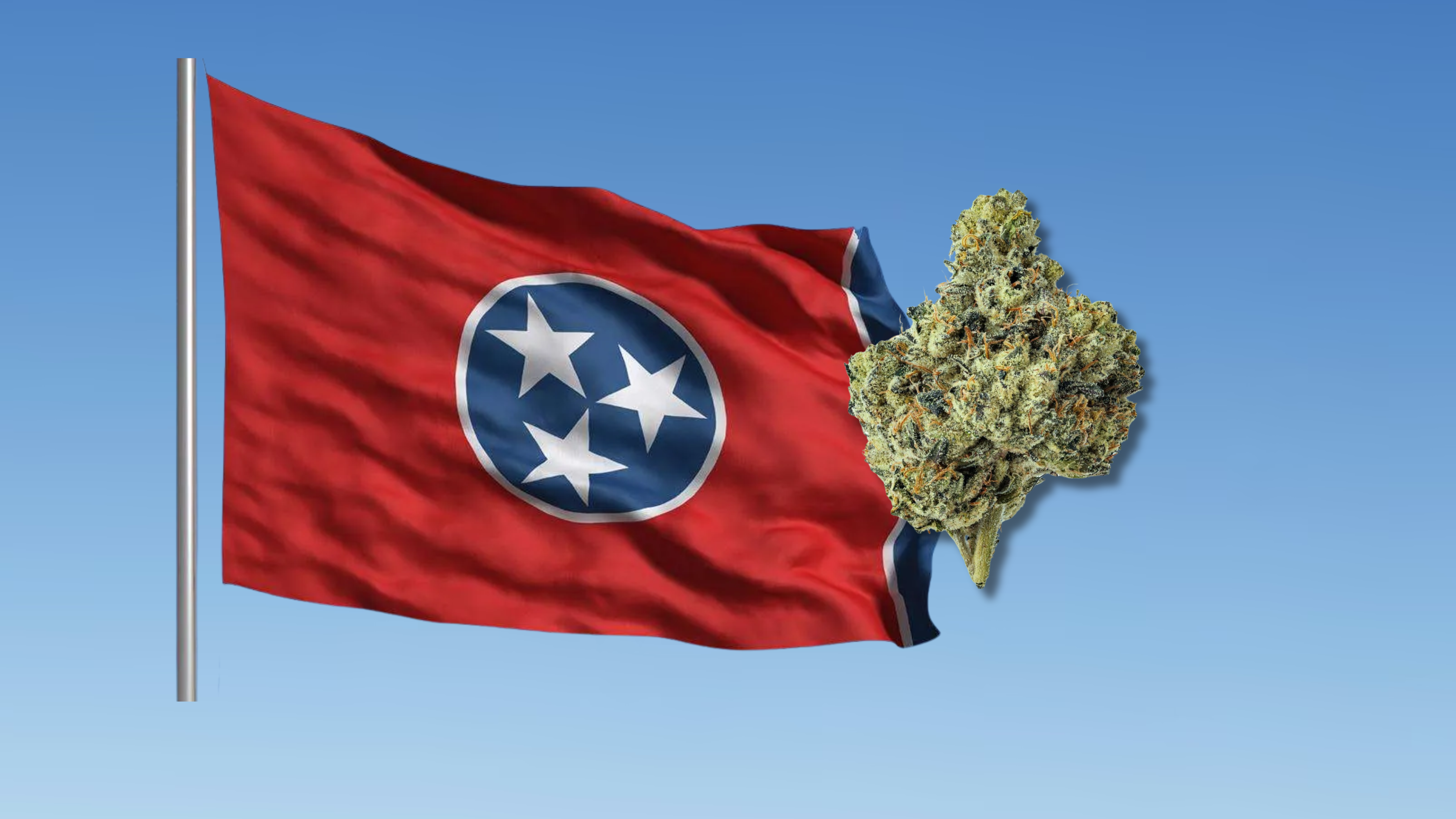 THCA in Tennessee